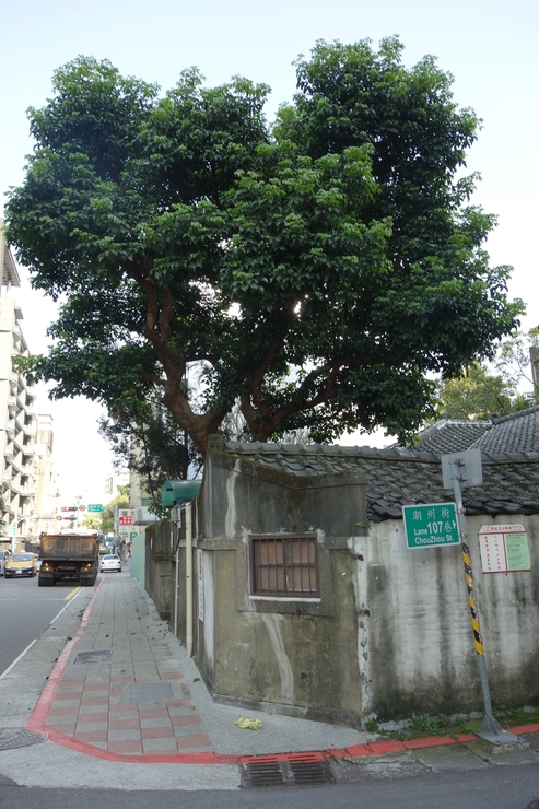 台湾へ行きタイワーン 3日目 7~Cafe Niau 沐肆貓廬へ再度挑戦_a0287336_2103623.jpg