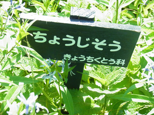 f0206939_1517720.jpg