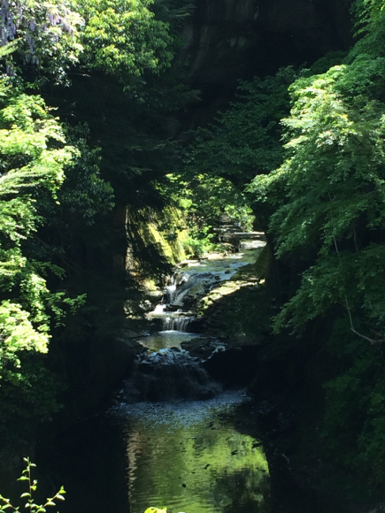 e0026541_20533531.jpg