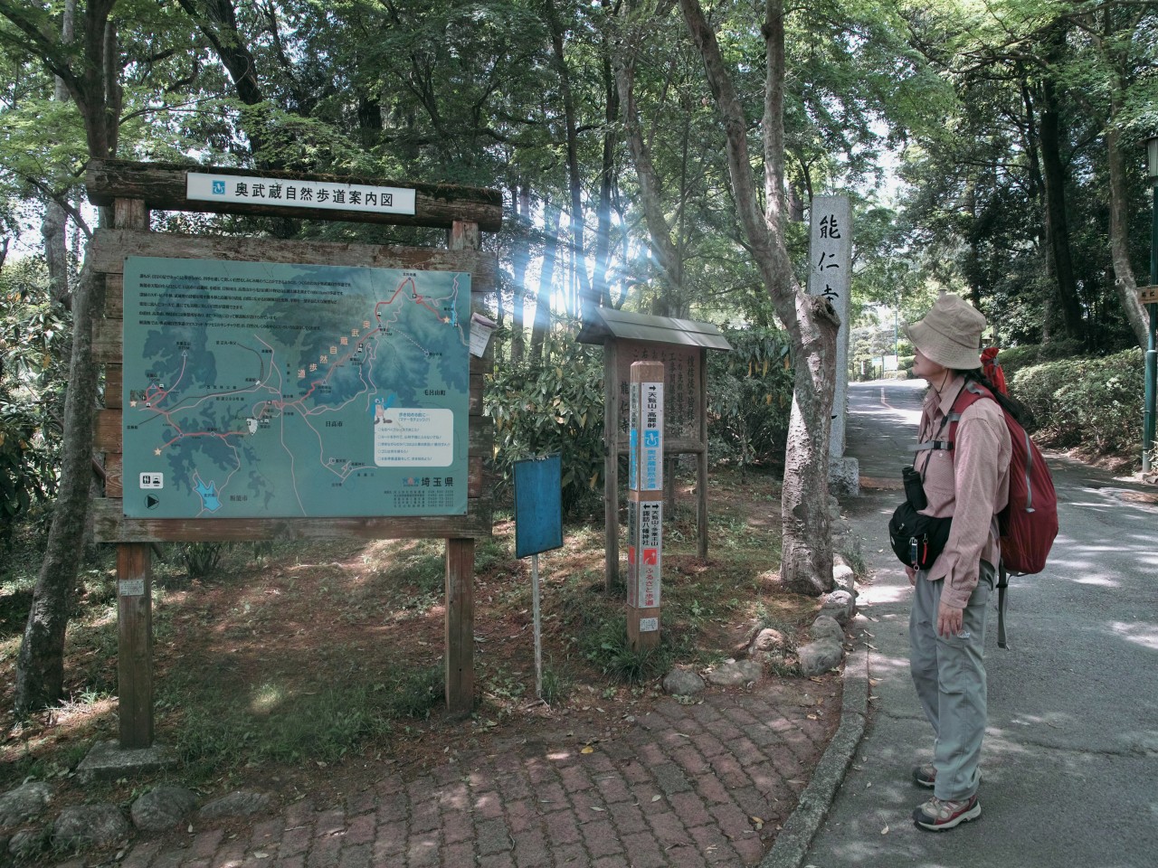 飯能の里山で本物のガイドを聞きながら観察会_c0008948_1837270.jpg