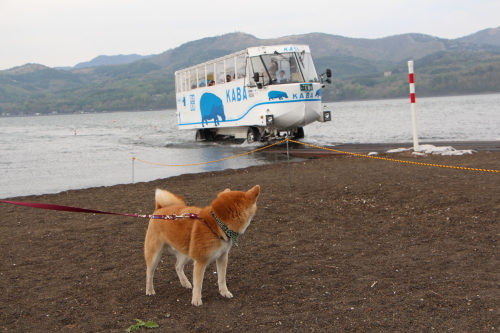 ゴールデンウィーク旅行記　～山中湖～_f0245650_07345705.jpg