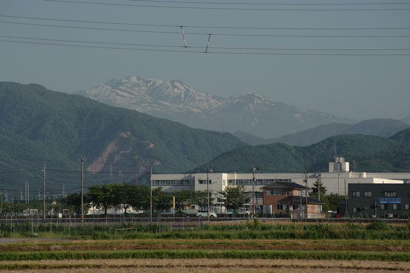 d0342652_1402648.jpg