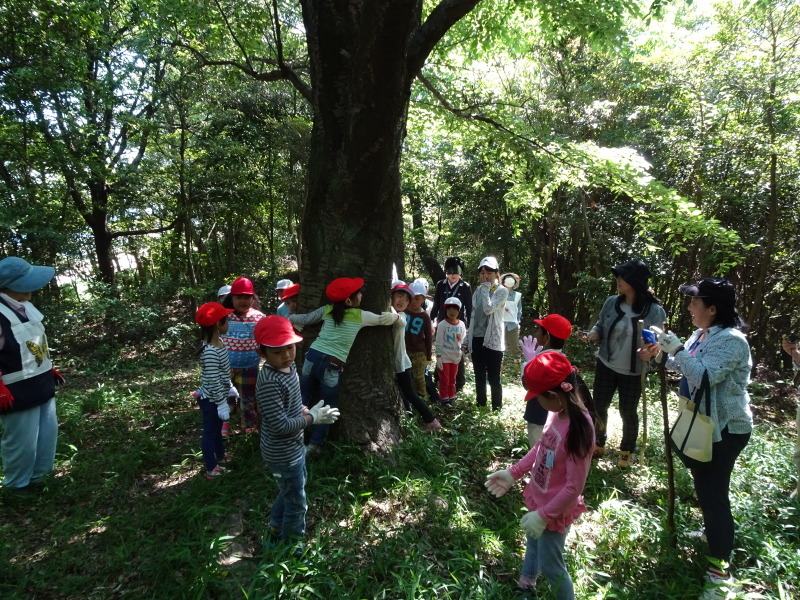 多奈川小学校１・２年生遠足「里山体験」 in　うみべの森_c0108460_23464952.jpg