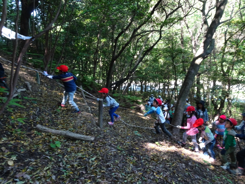 多奈川小学校１・２年生遠足「里山体験」 in　うみべの森_c0108460_23541010.jpg