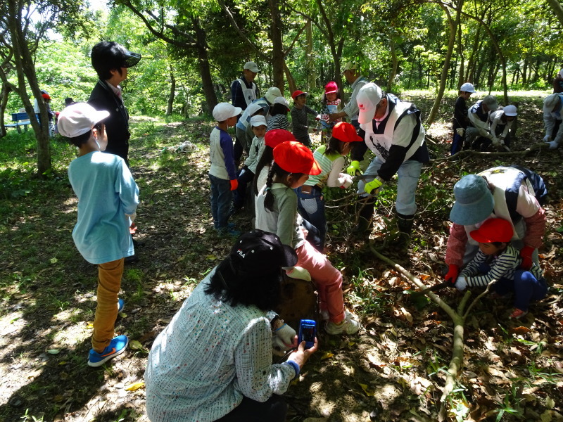 多奈川小学校１・２年生遠足「里山体験」 in　うみべの森_c0108460_23554783.jpg