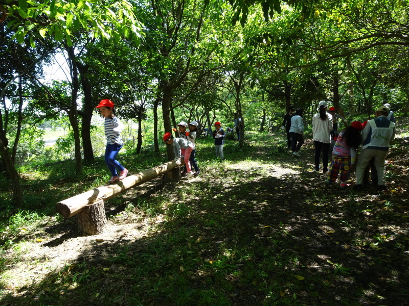 多奈川小学校１・２年生遠足「里山体験」 in　うみべの森_c0108460_23555005.jpg