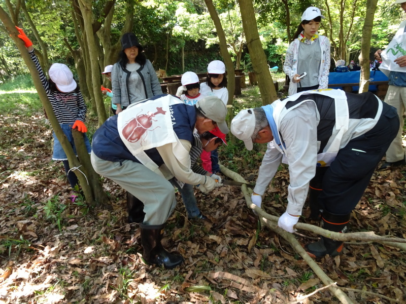 多奈川小学校１・２年生遠足「里山体験」 in　うみべの森_c0108460_23555483.jpg