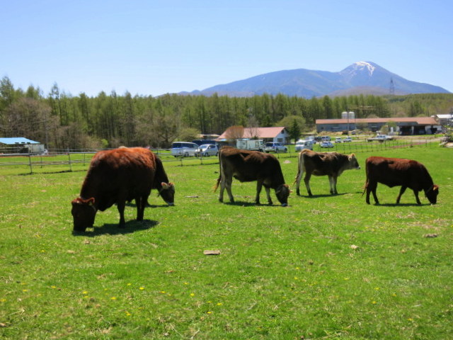 f0236260_0405324.jpg