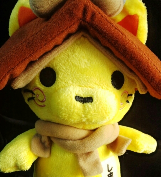 イロイロ_c0324961_17460279.jpg