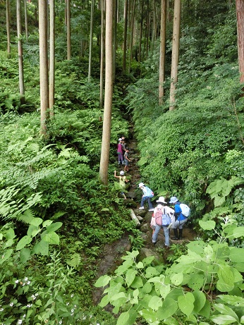 田植え合宿2015_e0114963_15244759.jpg