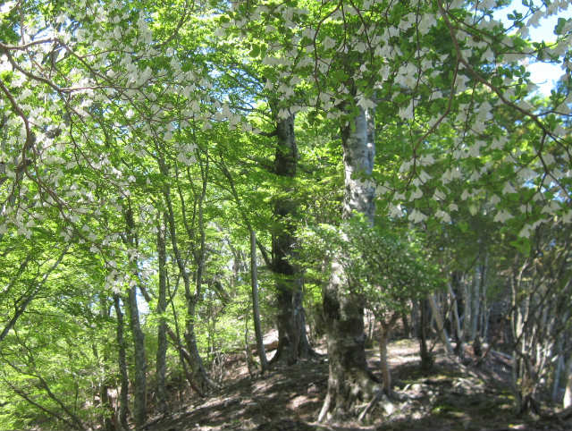 c0219866_13332660.jpg