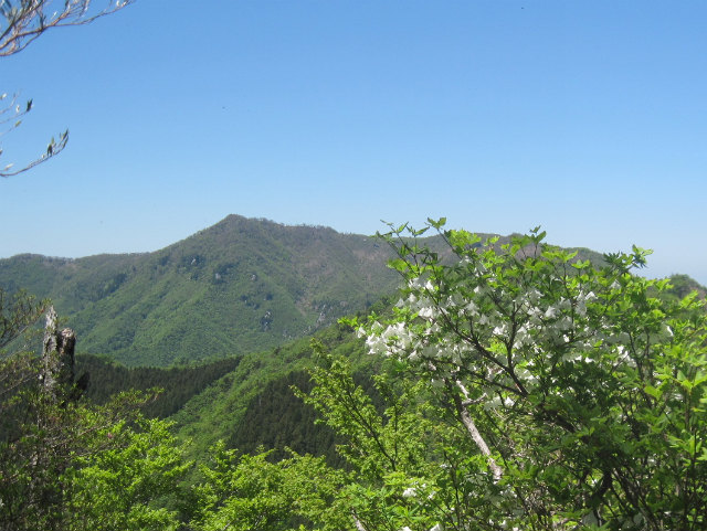 c0219866_13345444.jpg