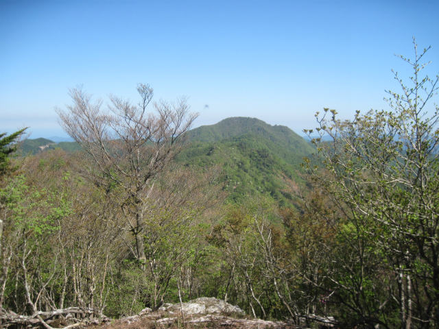 c0219866_13385422.jpg