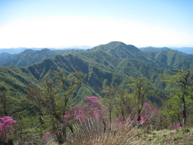 c0219866_835482.jpg