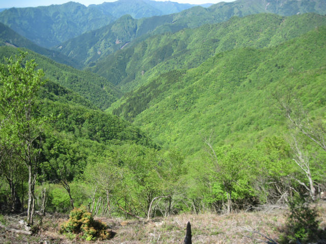 c0219866_8392260.jpg