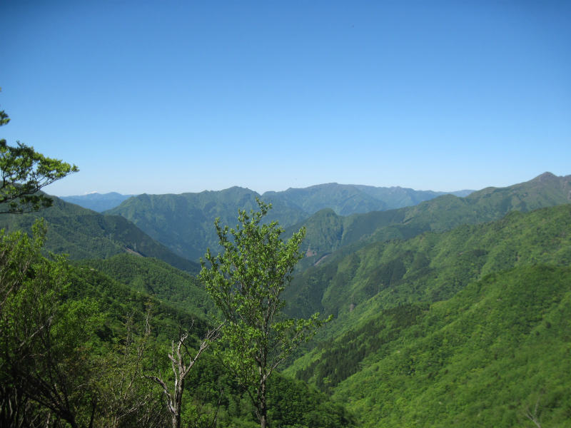 c0219866_8393789.jpg