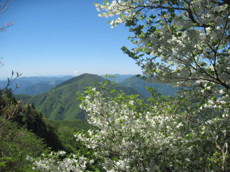 c0219866_8422074.jpg