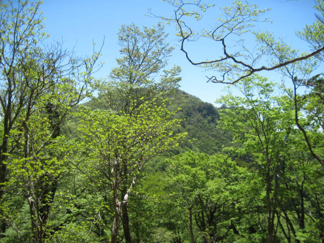 c0219866_84940100.jpg