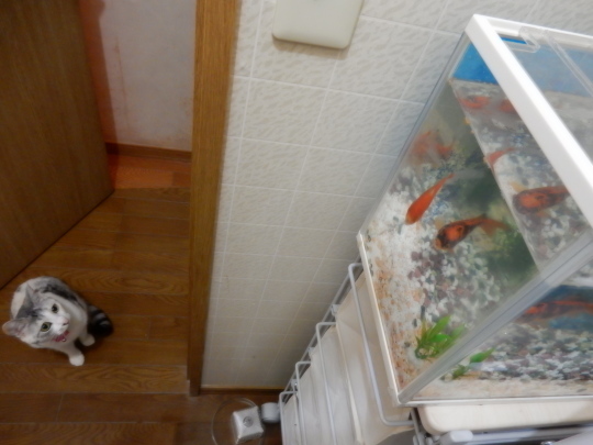 おやすみ中_e0355177_19242886.jpg