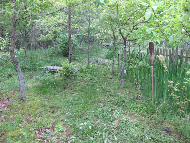 e0266183_18173166.jpg