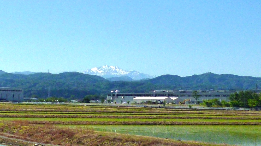 e0355083_1959113.jpg