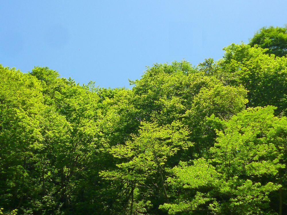 e0355083_2015243.jpg