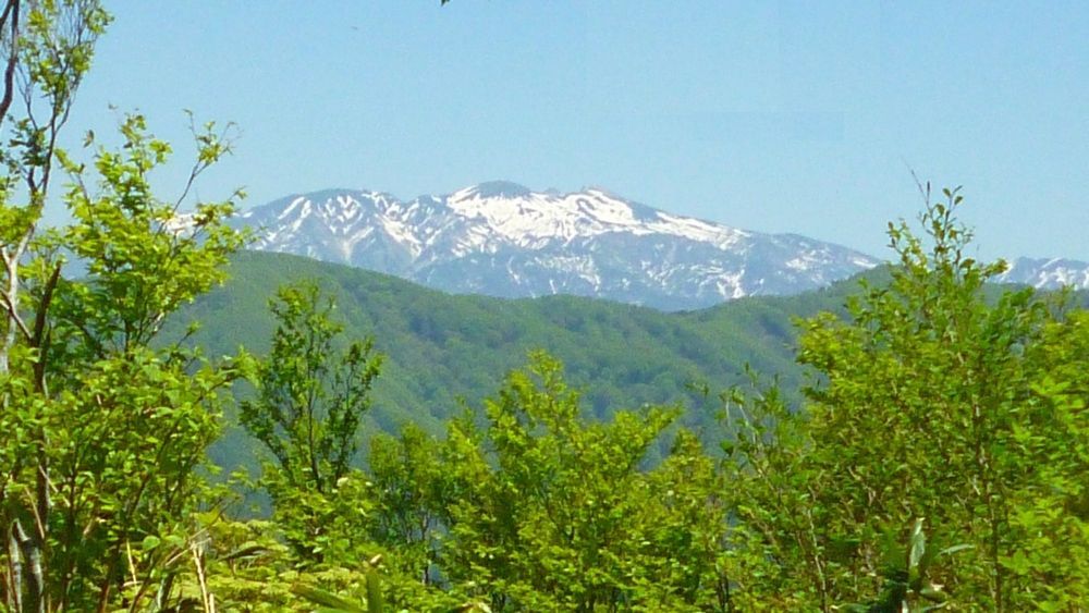 e0355083_2023620.jpg