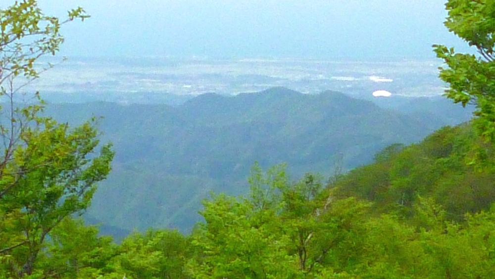e0355083_2031774.jpg