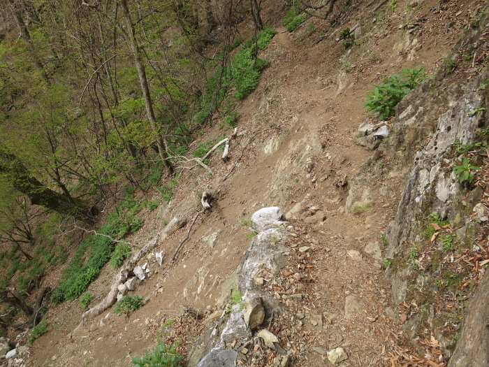 b0339488_17472953.jpg