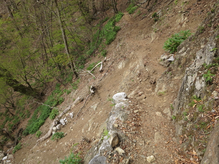 雲取山　2日目後編　後山林道_b0339488_17472953.jpg