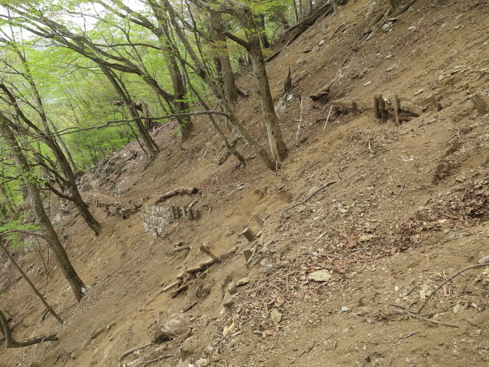 雲取山　2日目後編　後山林道_b0339488_17472961.jpg