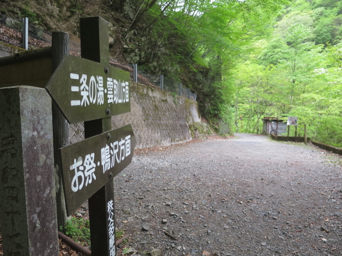 雲取山　2日目後編　後山林道_b0339488_17474405.jpg