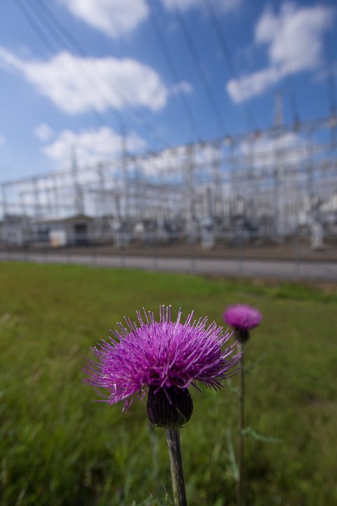 変電所に宿る夏空_d0353489_2016235.jpg