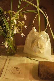 ②「羽が生え、舞う」展・準備風景~acota(アコタ)の場合_f0226293_7475983.jpg