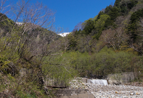 b0078795_9362041.jpg