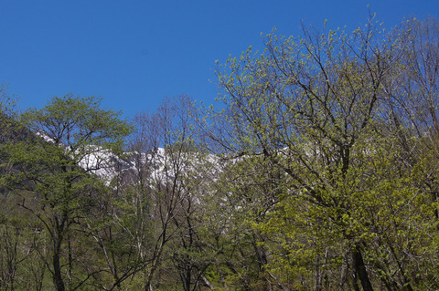 b0078795_9363632.jpg