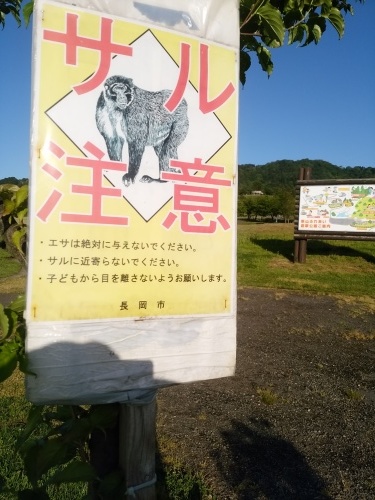 f0164499_23143447.jpg
