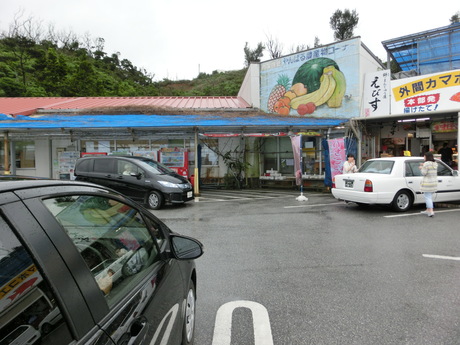 美ら海水族館・伊江島・読谷村憲法九条の碑_a0203003_19541720.jpg