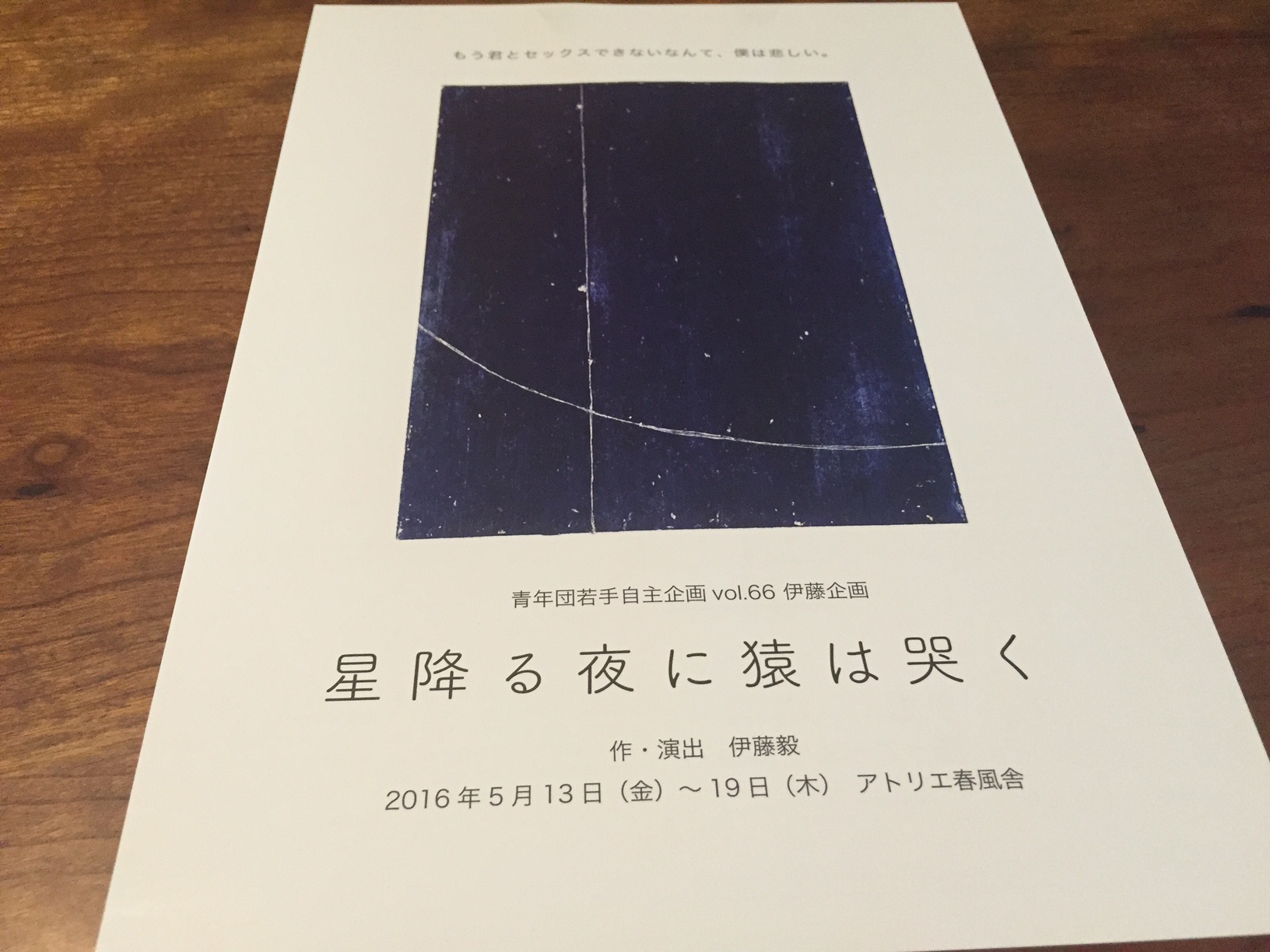 「星降る夜に猿は哭く」青年団若手自主企画vol.66　伊藤企画（＠アトリエ春風舎）_f0064203_874342.jpg