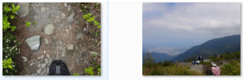 f0231709_16173382.gif