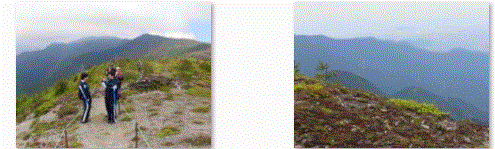 f0231709_16201034.gif