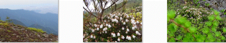 f0231709_16374523.gif
