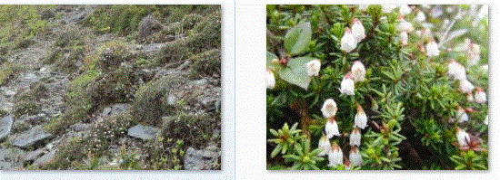 f0231709_23101127.gif