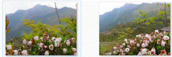 f0231709_23125883.gif