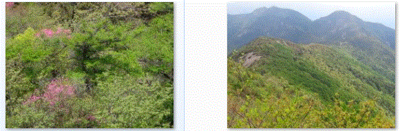 f0231709_23394842.gif