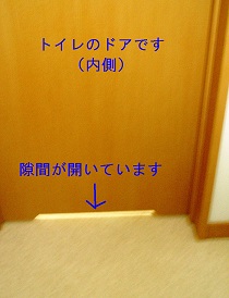 b0200310_12542918.jpg