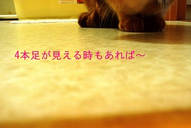 b0200310_12545833.jpg