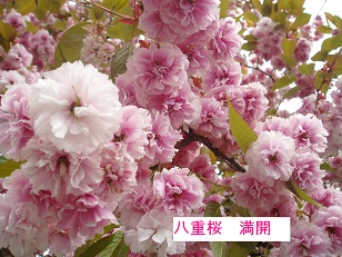 b0200310_1254824.jpg