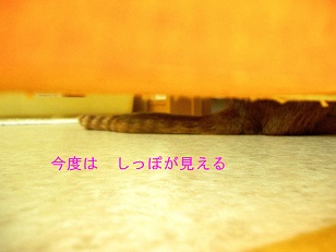 b0200310_12552180.jpg