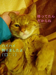 b0200310_12564991.jpg